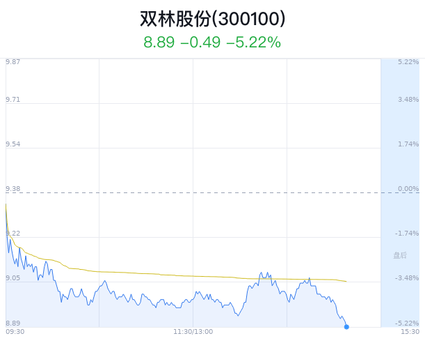 双林股份大幅下跌近半年1家券商买入建议