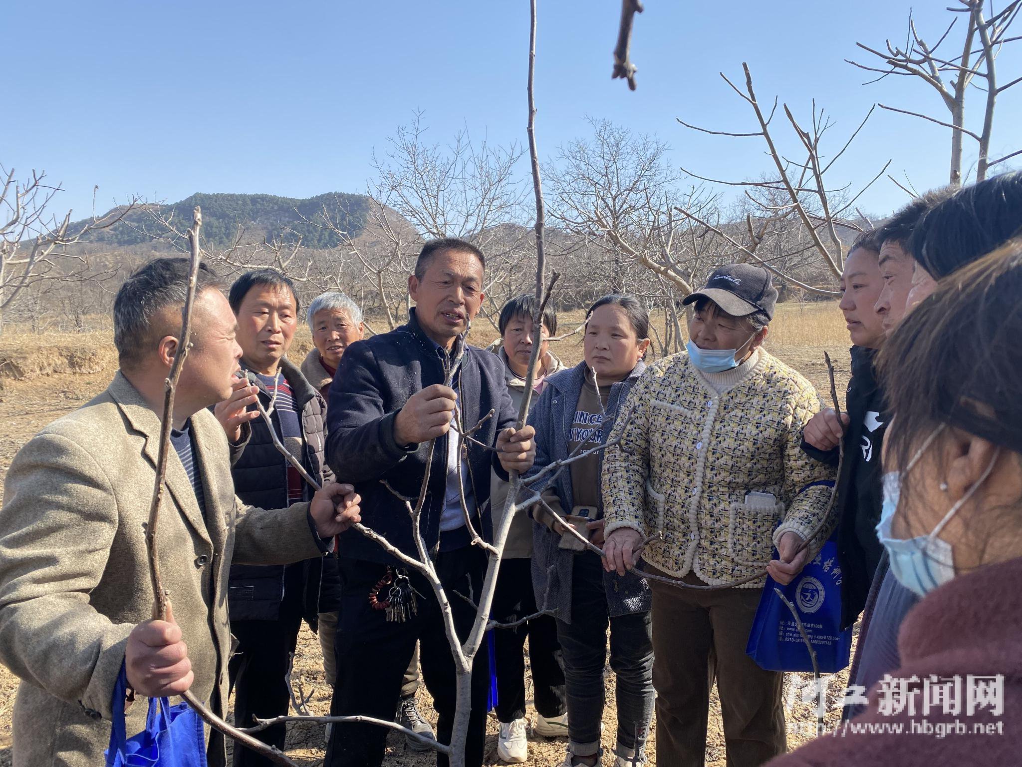 涉县总工会组织劳模工匠为果农讲知识,送技术|劳模_新浪财经_新浪网