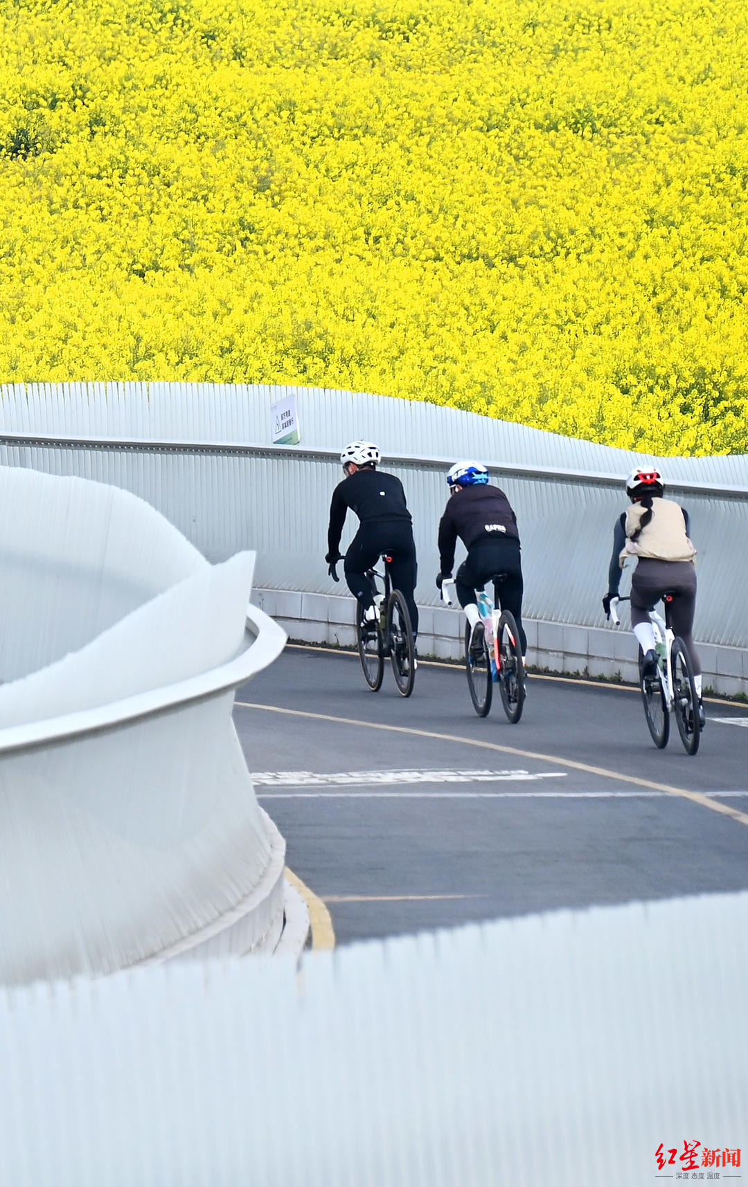 骑行限速不得放风筝成都环城生态区绿道骑行管理办法来了