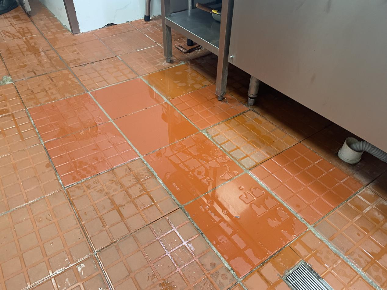 突查深汕这家大型企业食堂后厨|比亚迪_新浪财经_新浪网