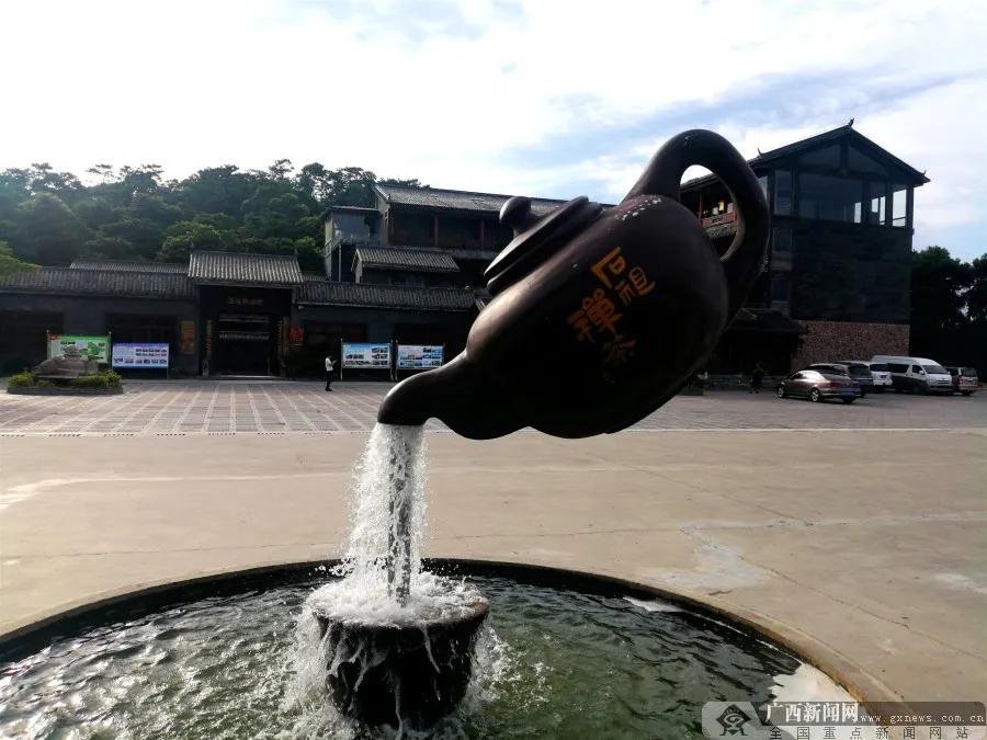浦北石祖禅茶园,沐浴茶园氧吧,一起采茶,品茶,入住石祖舍,禅茶一味
