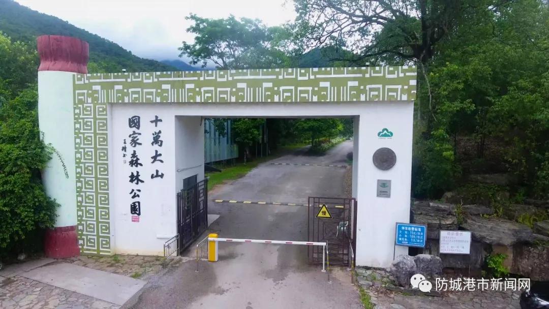 三月三放假来防城港官方种草线路带你领略好风光