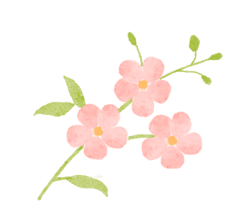 影像故事丨在黄浦的这个公园邂逅粉色花海