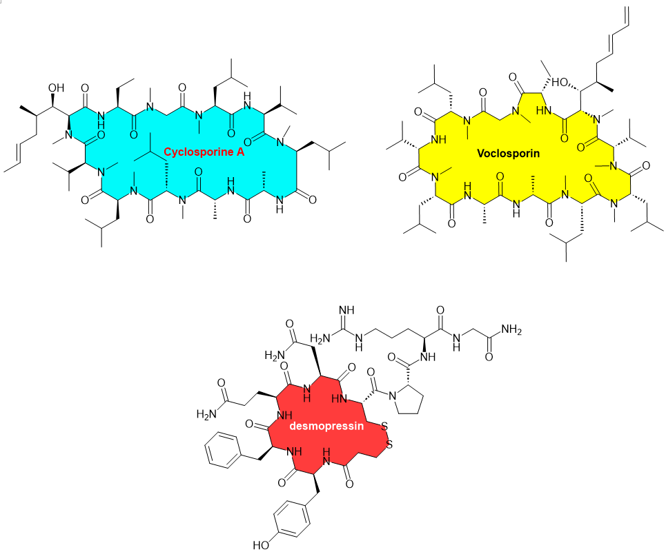 图5. 部分已上市口服环肽化学结构