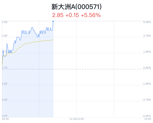 新大洲A大幅上涨 主力净流入增加