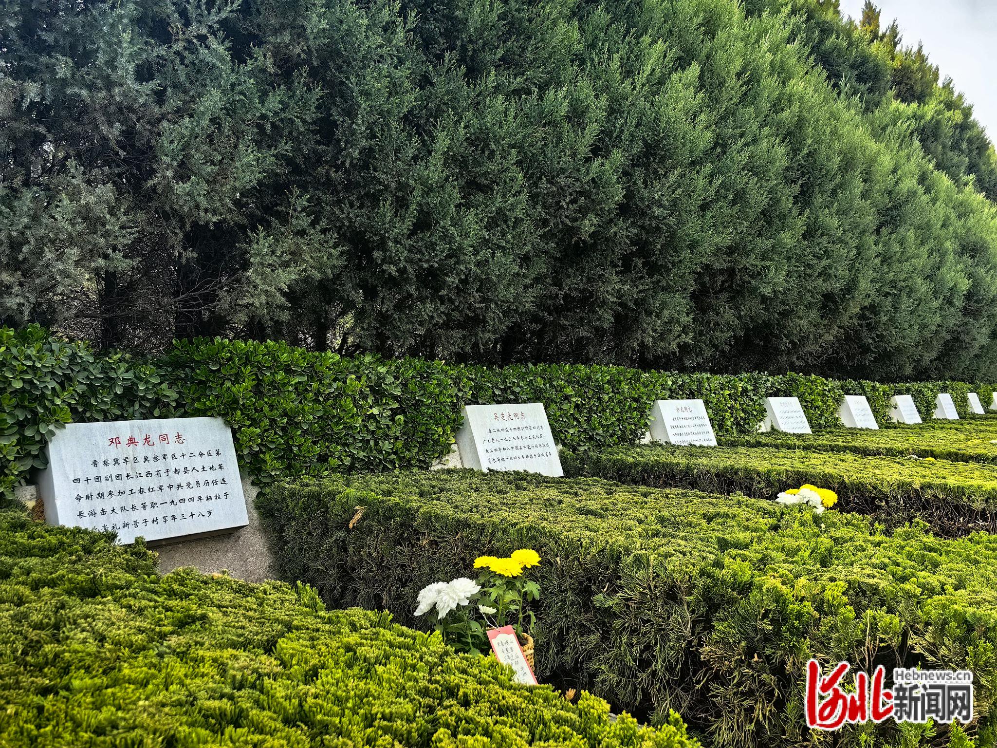华北军区烈士陵园里的烈士墓碑。（袁欣悦/摄）