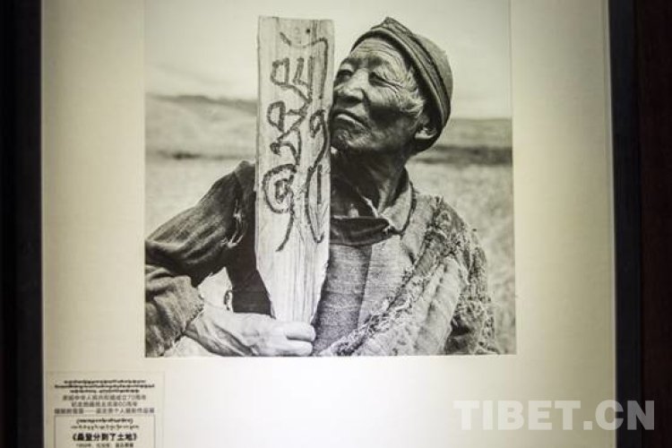 图为蓝志贵摄影作品《桑登分到了土地》来源：中国西藏网