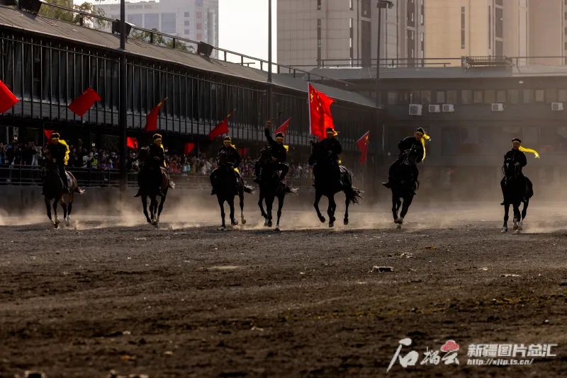 野马集团有限公司,新疆雅辞文化发展有限公司,新疆软件园有限责任公司