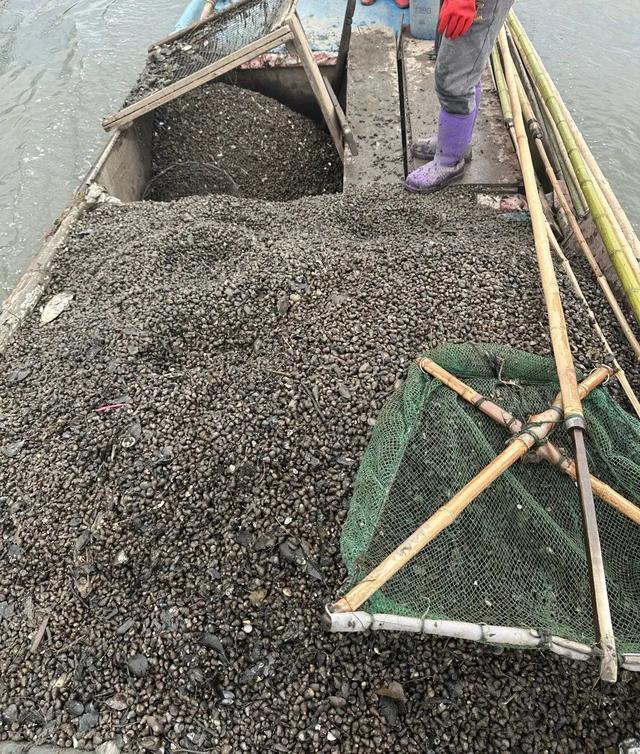 禁渔期非法捕捞撒下渔网落法网