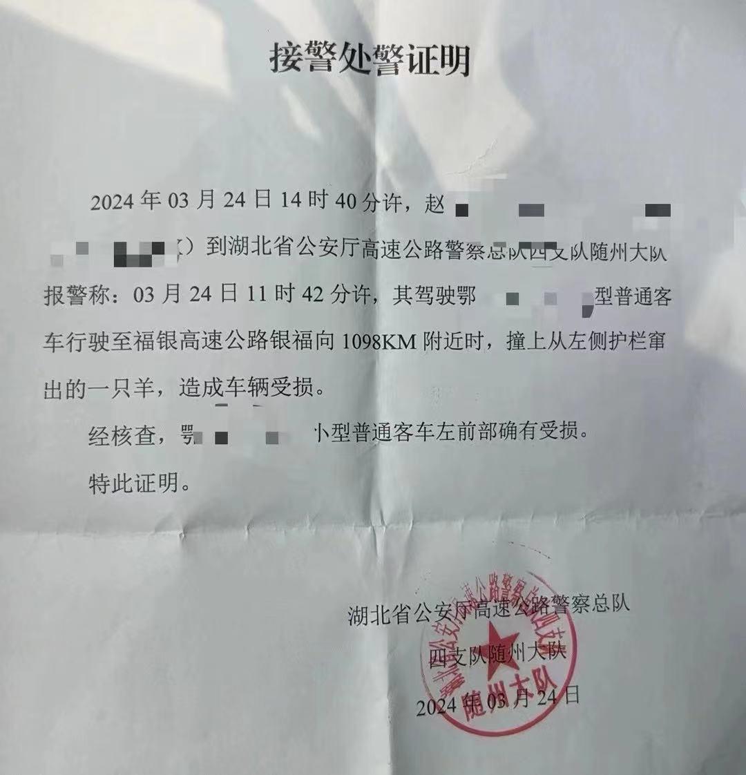 交警《接警处警证明》 受访者供图