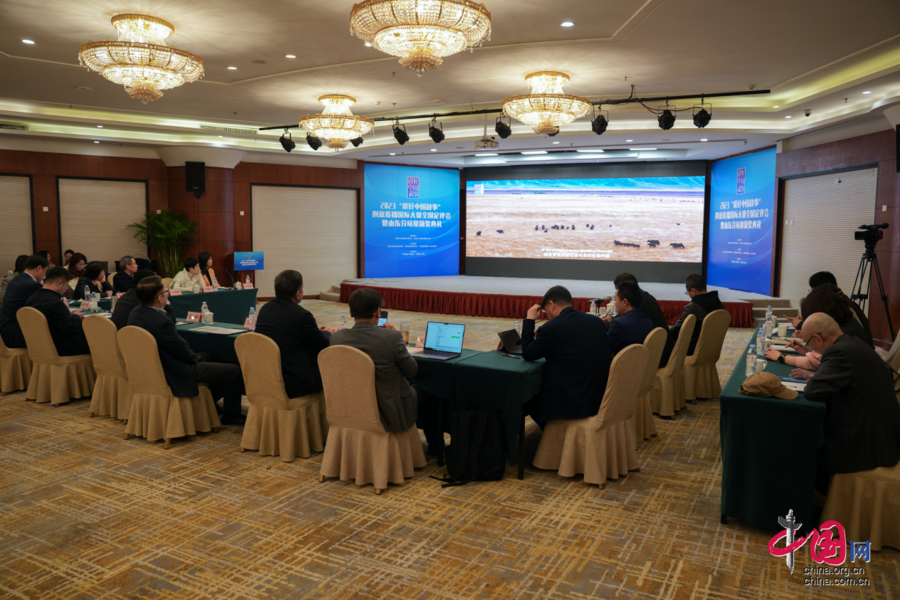 中国网 李康 摄2024年3月26日,2023"讲好中国故事"创意传播国际大赛