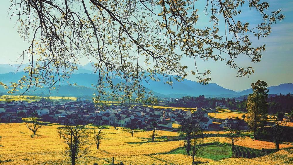 张师树田散记_新浪财经_新浪网