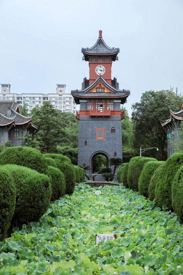 来四川邂逅美丽校园|美丽校园_新浪财经_新浪网