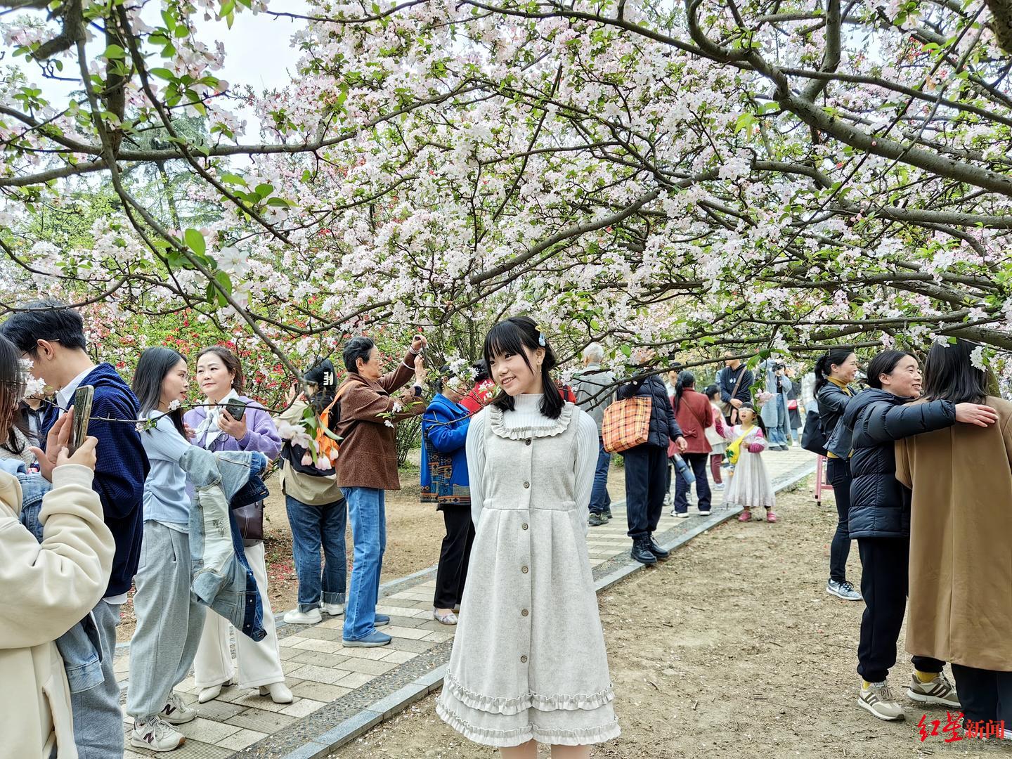 赏花骑行"打野"研学……成都排名全国踏青游热门城市第一