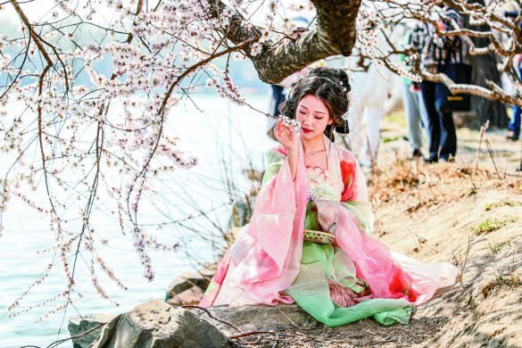 三月二十二日，一名女孩身穿汉服在颐和园西堤的山桃花旁留影。新华社记者陈晔华