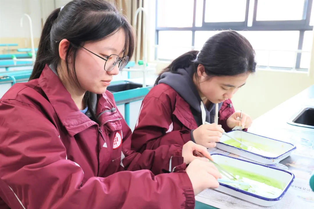 西安市曲江第一中学第三届校园科技节圆满落幕