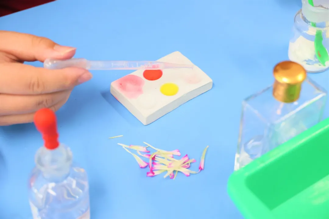 "自制酸碱指示剂" "自制水果电池" "美丽的喷泉" "构成水的奥妙"