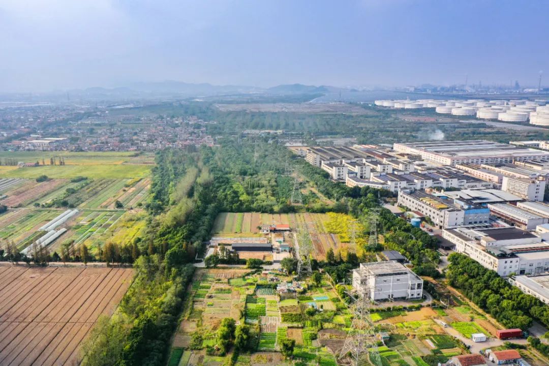 作为全域国土空间综合整治全国唯一试点城市,浙江宁波做了什么?