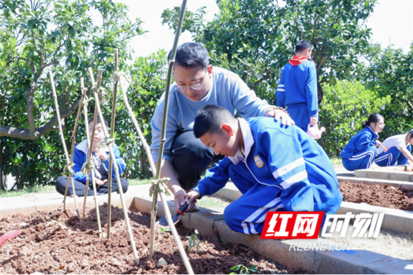 孩子们在上养·植节课程。