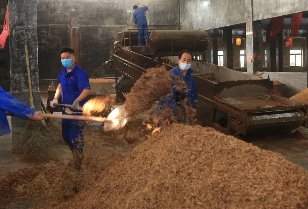 金种子,用"标准"说话__财经头条