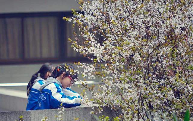 图为成都市石室中学学生在校园内学习.