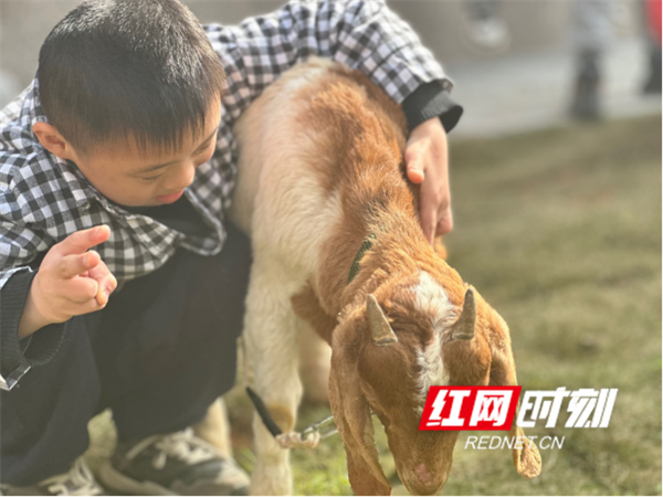 孩子们在上养·植节课程。