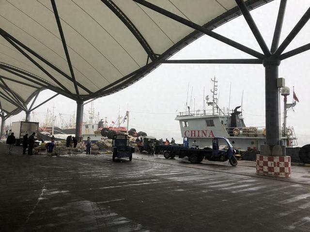 图为南通启东市吕四港渔港，南通国安水产公司渔获物卸港处。