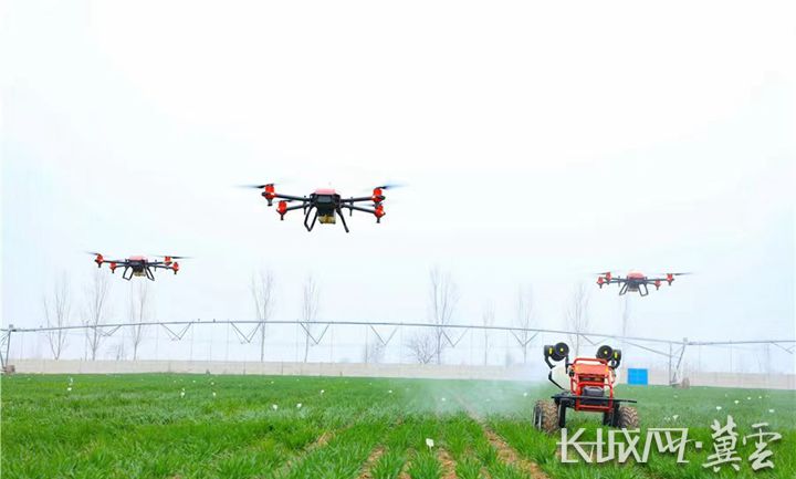 日前，辛集市马兰农场无人机在田间喷洒农药。辛集市农业农村局 供图
