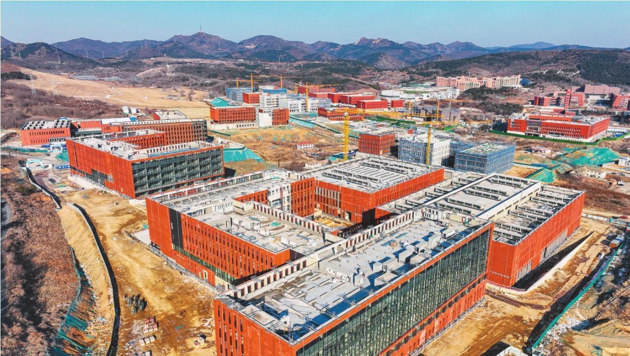 当好"跳高队" 打赢攻坚战|大连市_新浪财经_新浪网