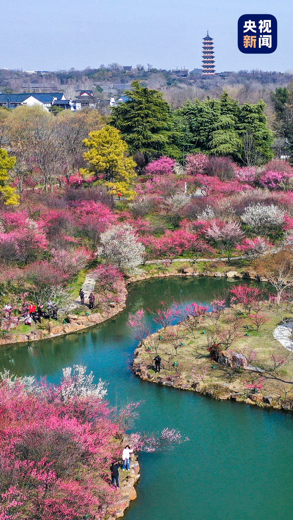 烟花三月下扬州_新浪财经_新浪网