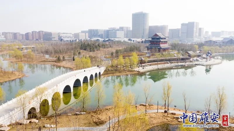 春天的金湖公园,树木开始抽出嫩芽.中国雄安官网李鑫 摄