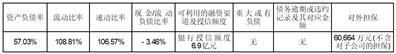 证券代码：600208    证券简称：新湖中宝    公告编号：临2024-015