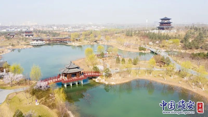 在雄安,赏公园春日美景!|李鑫_新浪财经_新浪网