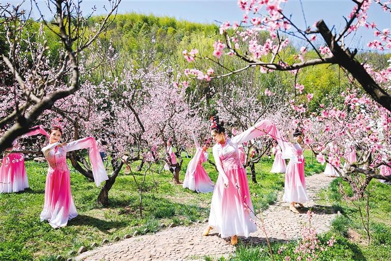 丹凤桃花节“桃花仙子”沉浸式演出。记者张红中 通讯员 张鹏 摄