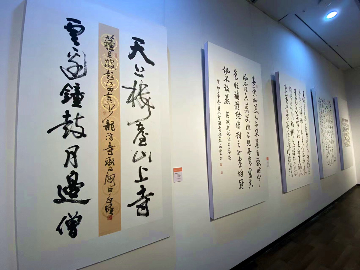 全国名家苏轼主题书法作品展在海南省博物馆开展。记者 陈望 摄