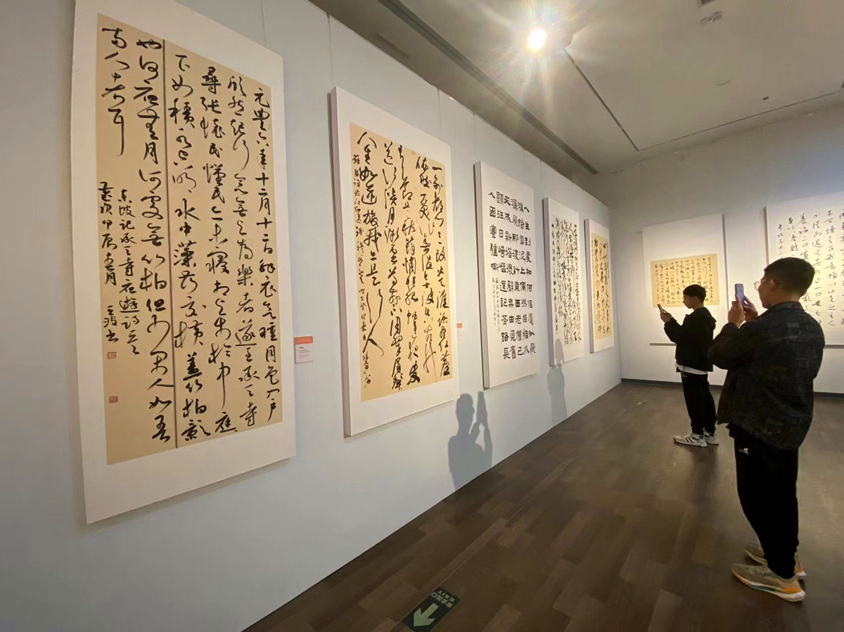 全国名家苏轼主题书法作品展在海南省博物馆开展。记者 陈望 摄