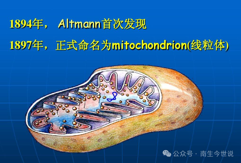 拼多多出海碾压外企,"砍一刀"潮流席卷美利坚|拼多多_新浪财经_新浪网