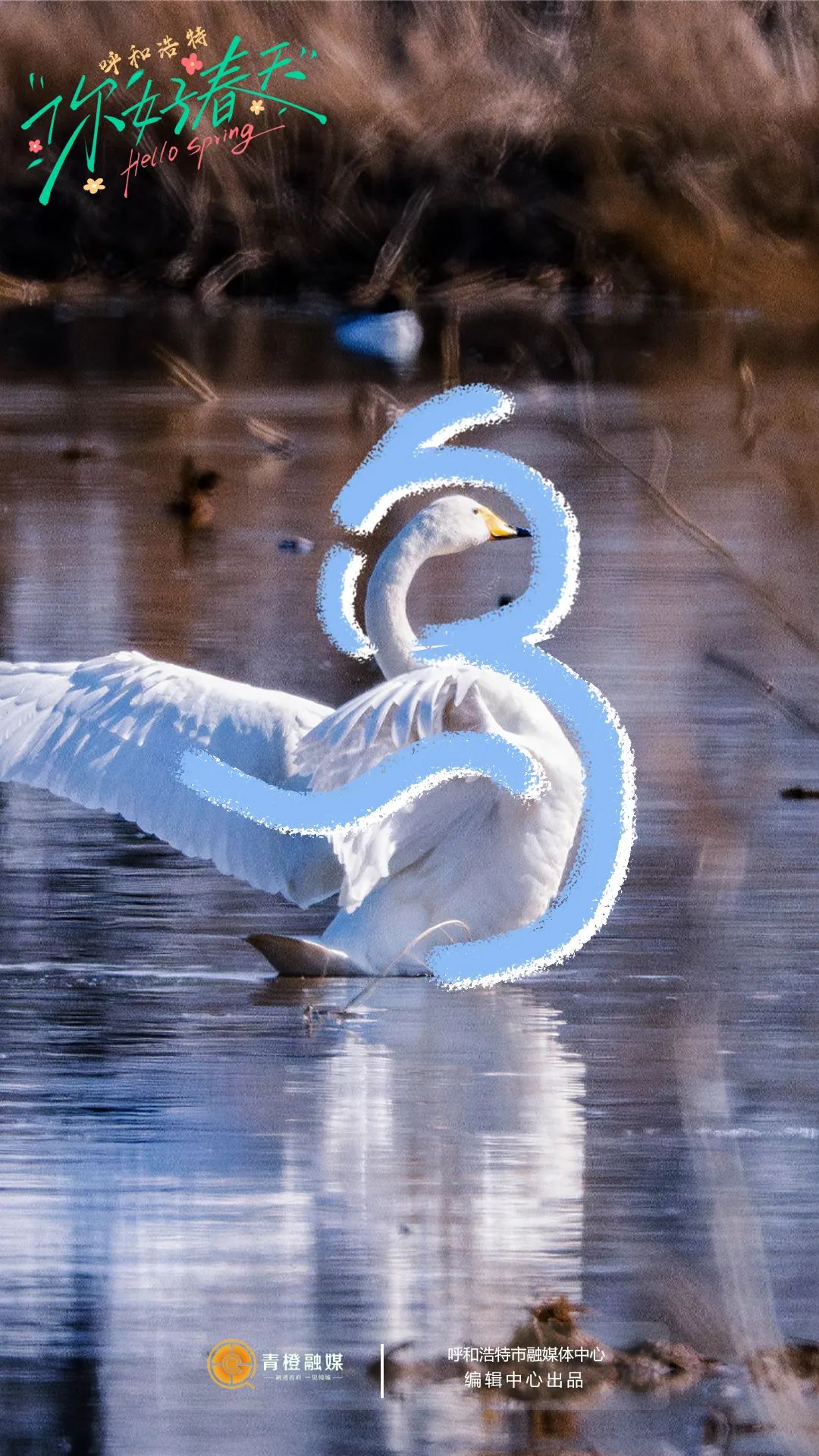 趁着春暖意浓