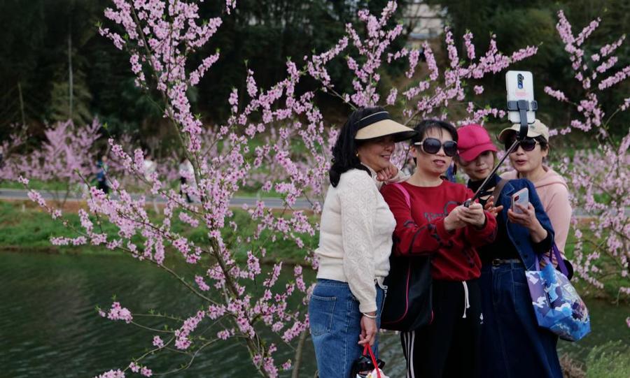 近日，在江西省抚州市崇仁县许坊乡巴和生态园，游客在赏花拍照。新华社发（毛全发 摄）