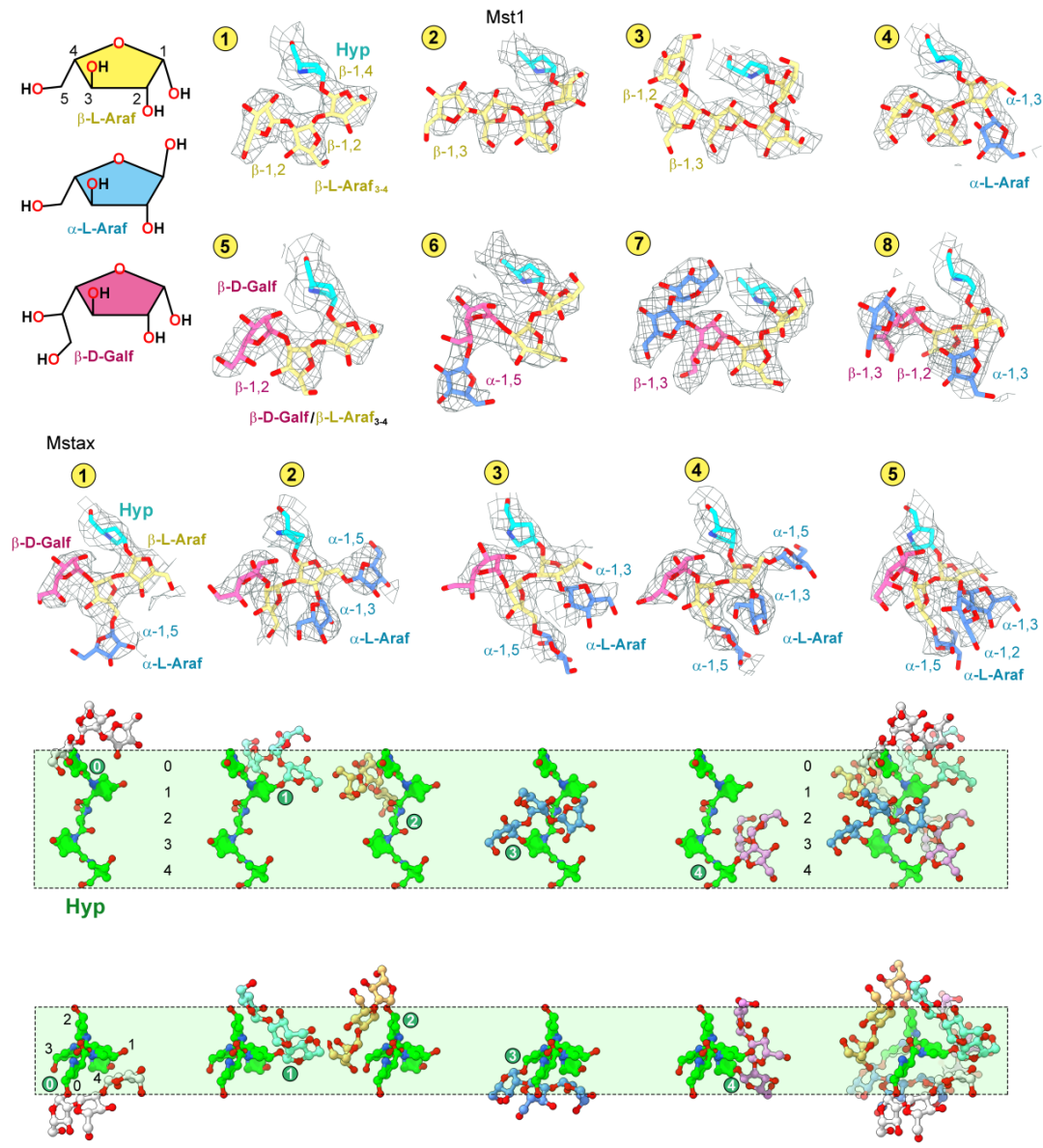 颜宁团队国际顶刊发文:yan lab探索"暗物质"第一步