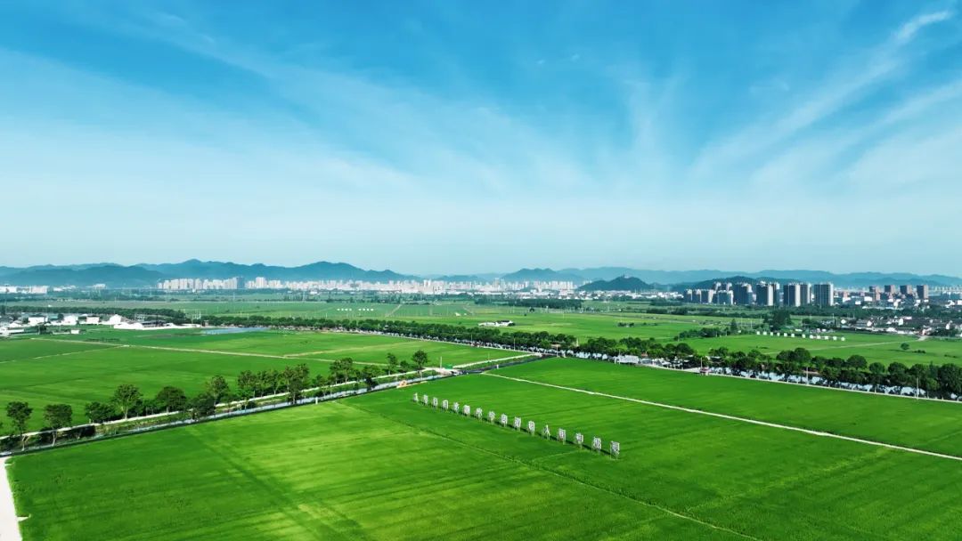 作为全域国土空间综合整治全国唯一试点城市浙江宁波做了什么