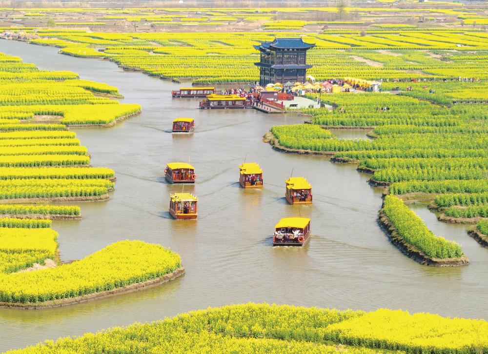 江苏省兴化市千垛菜花风景区