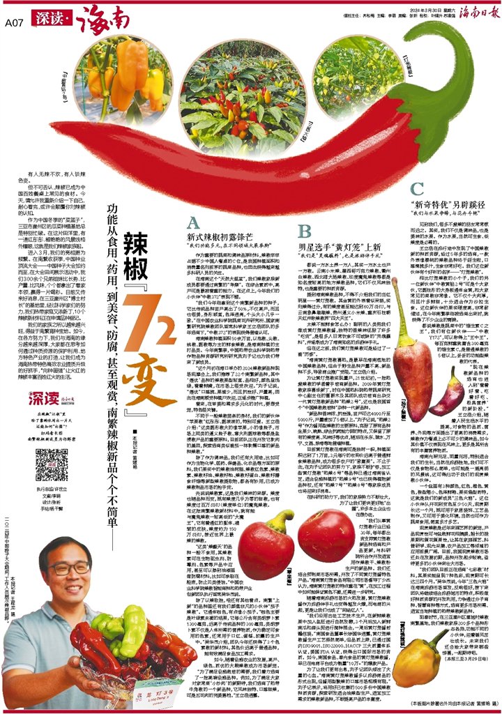 深读丨食用,药用,美容,防腐……南繁辣椒新品个个不简单