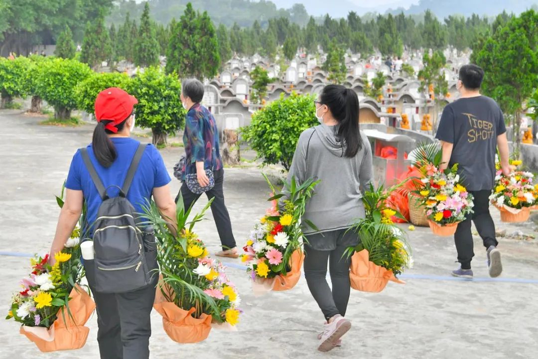 无需网上预约市民可直接前往祭祀全市各殡葬服务机构正常开放今年清明
