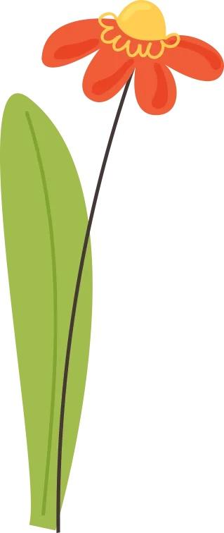 運動減肥_減肥運動多長時間合適_減肥運動快速燃脂