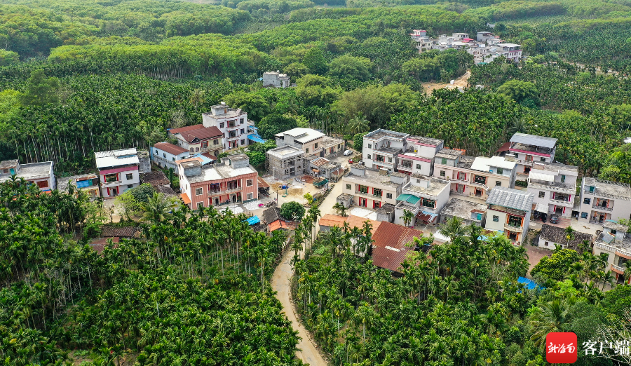 张秋林今年59岁,是琼中黎族苗族自治县黎母山镇握岱村委会双华村一名