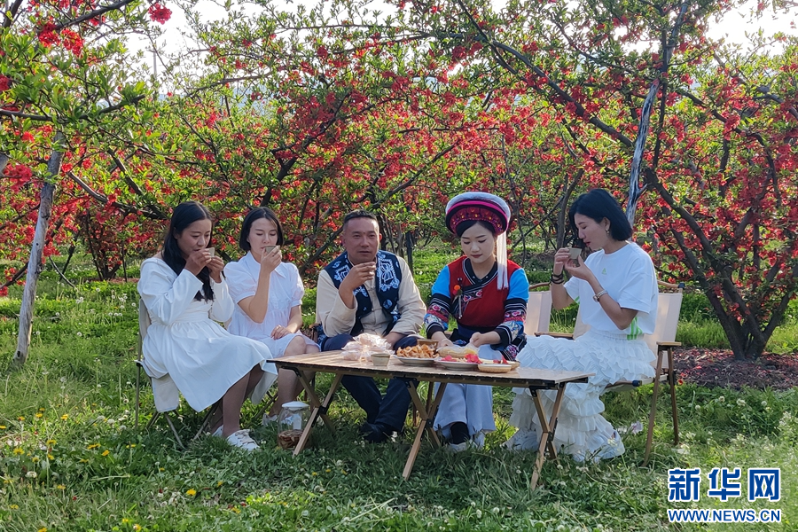 游客在木瓜园中饮茶品美食（摄于3月26日）。新华网发（陈维柱 摄）