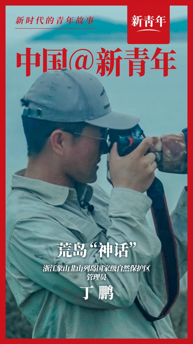 丁鹏中华凤头燕鸥因踪迹罕见数量稀少曾在鸟类学家视野中消失63年一度