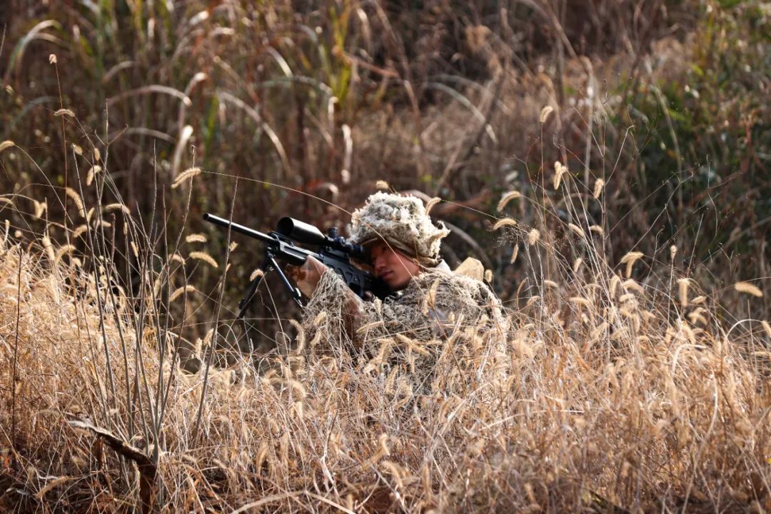 熄灯号 | 特战尖兵之路|杨创_新浪财经_新浪网