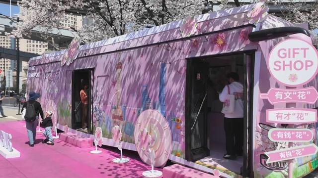 "我们从浦东那边过来,不负所望,特别好看,拍拍照片给同事欣赏一下